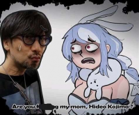 41